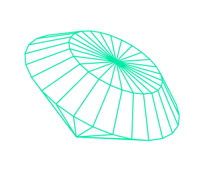Green wireframe disc decoration